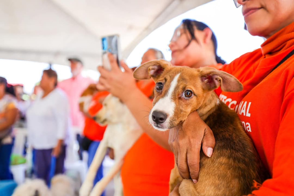 Salud Imparable para las mascotas con ‘Patitas Seguras’ en Reynosa
