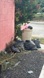 Pide municipio paciencia por retraso en recolección de basura tras inundaciones