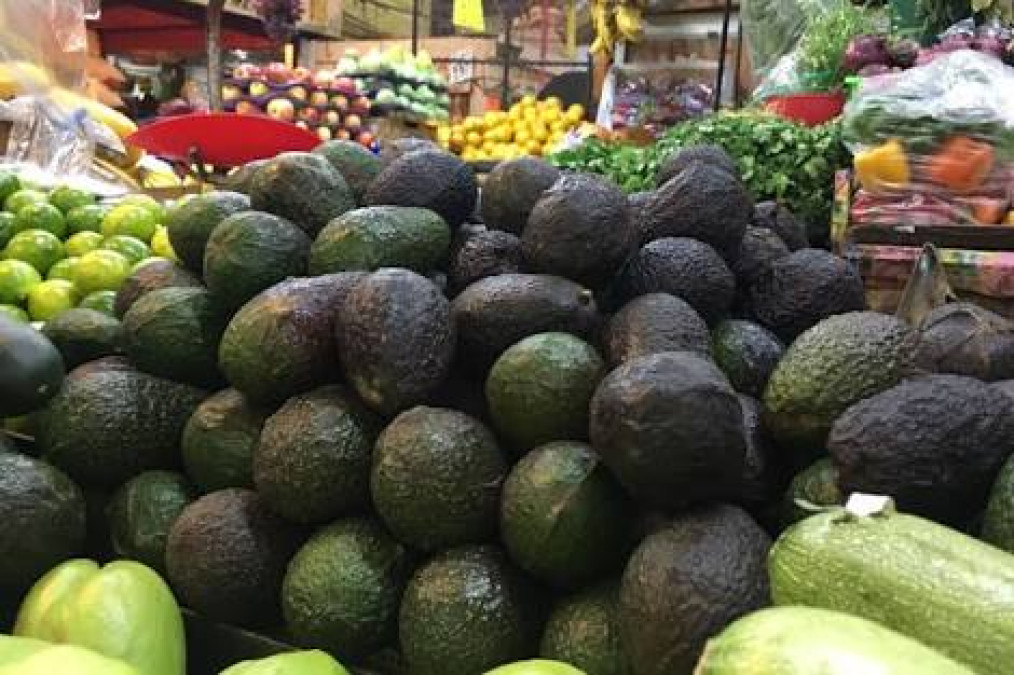 Baja venta de aguacate en el mercado