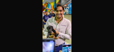 Busca Alcalde de Reynosa nombre para perrito abandonado