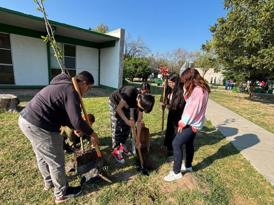 “Arbolando en NL” supera la reforestación 