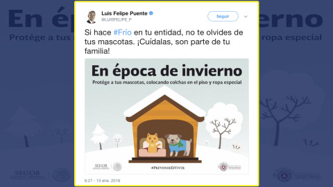 Recomienda PC proteger a mascotas del frío