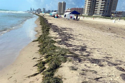 Reportan arribo de 'chapopote' a la Isla del Padre