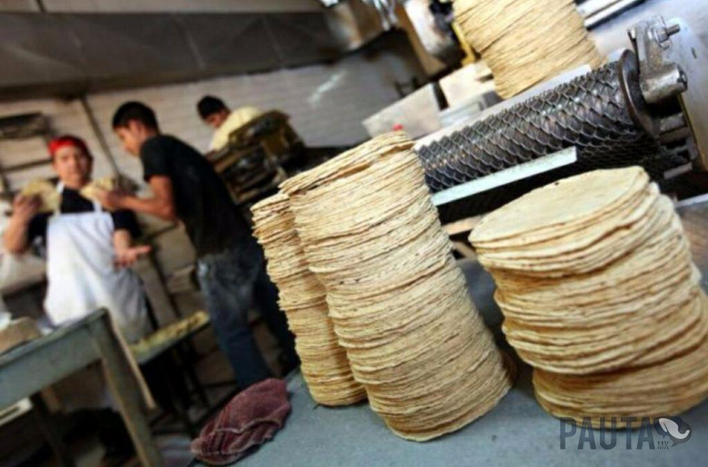 Negocios de tortillerías sin permiso van aumentando 