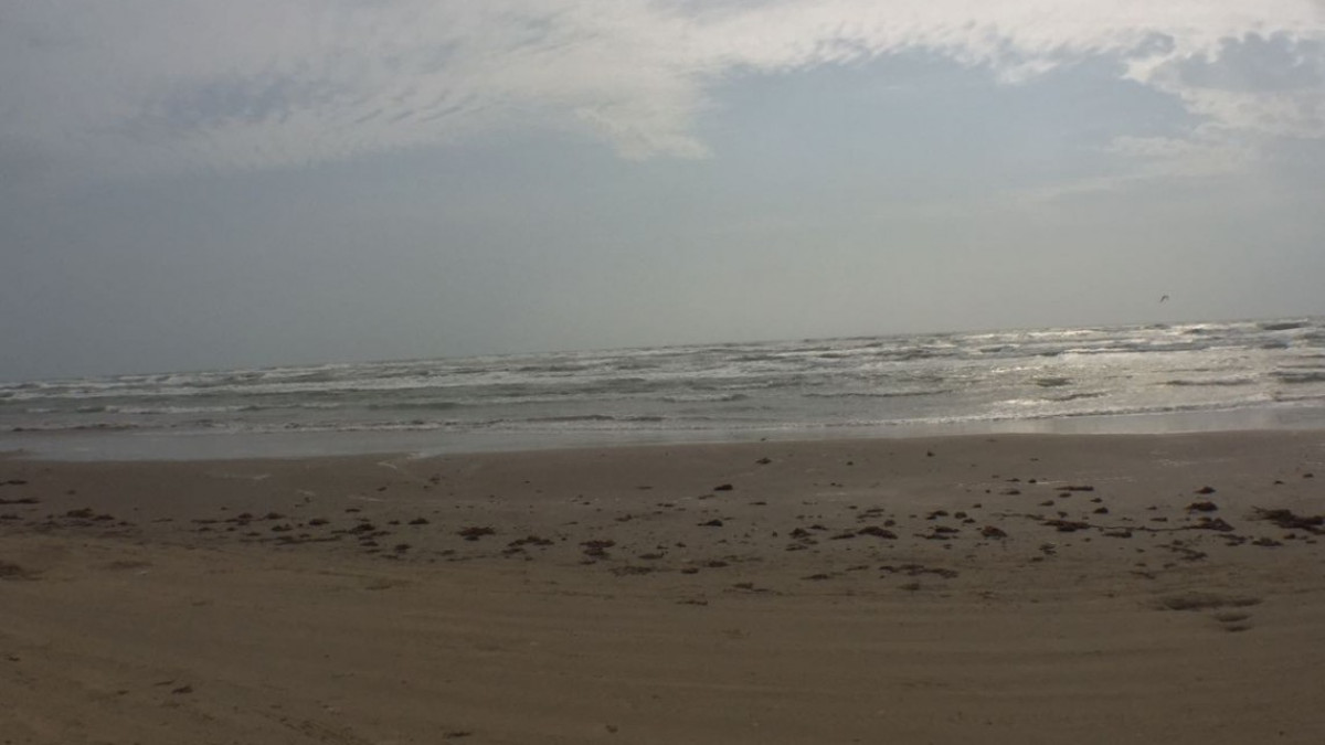 PC asignará 50 elementos a la playa Bagdad 