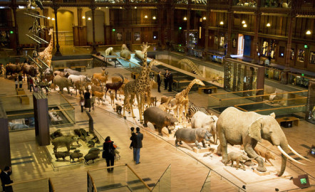 Inaugurarán cuatro salas en el MHN