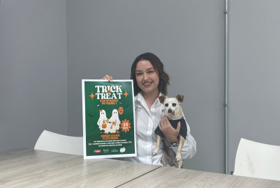 Invitan al mercado ‘Trick or Treat’ en apoyo a mascotas rescatadas