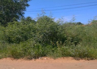 Multarán en Díaz Ordaz a propietarios que no limpien su predio